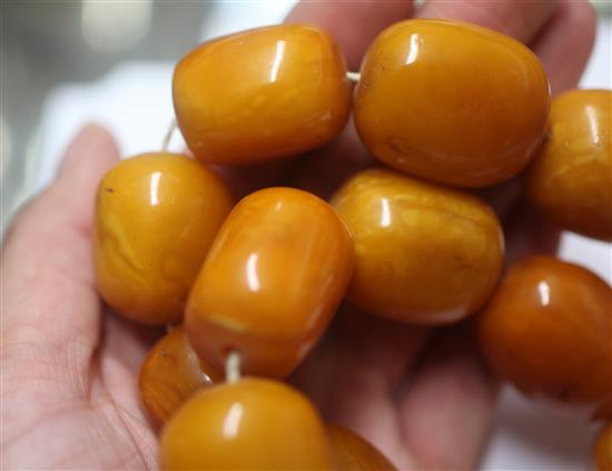 A large single strand graduated amber bead necklace, 36in.